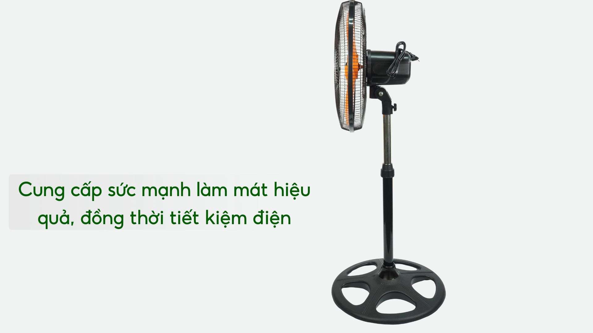 Quạt Đứng BCN ASIA VINA – VY589890 - Ảnh 3