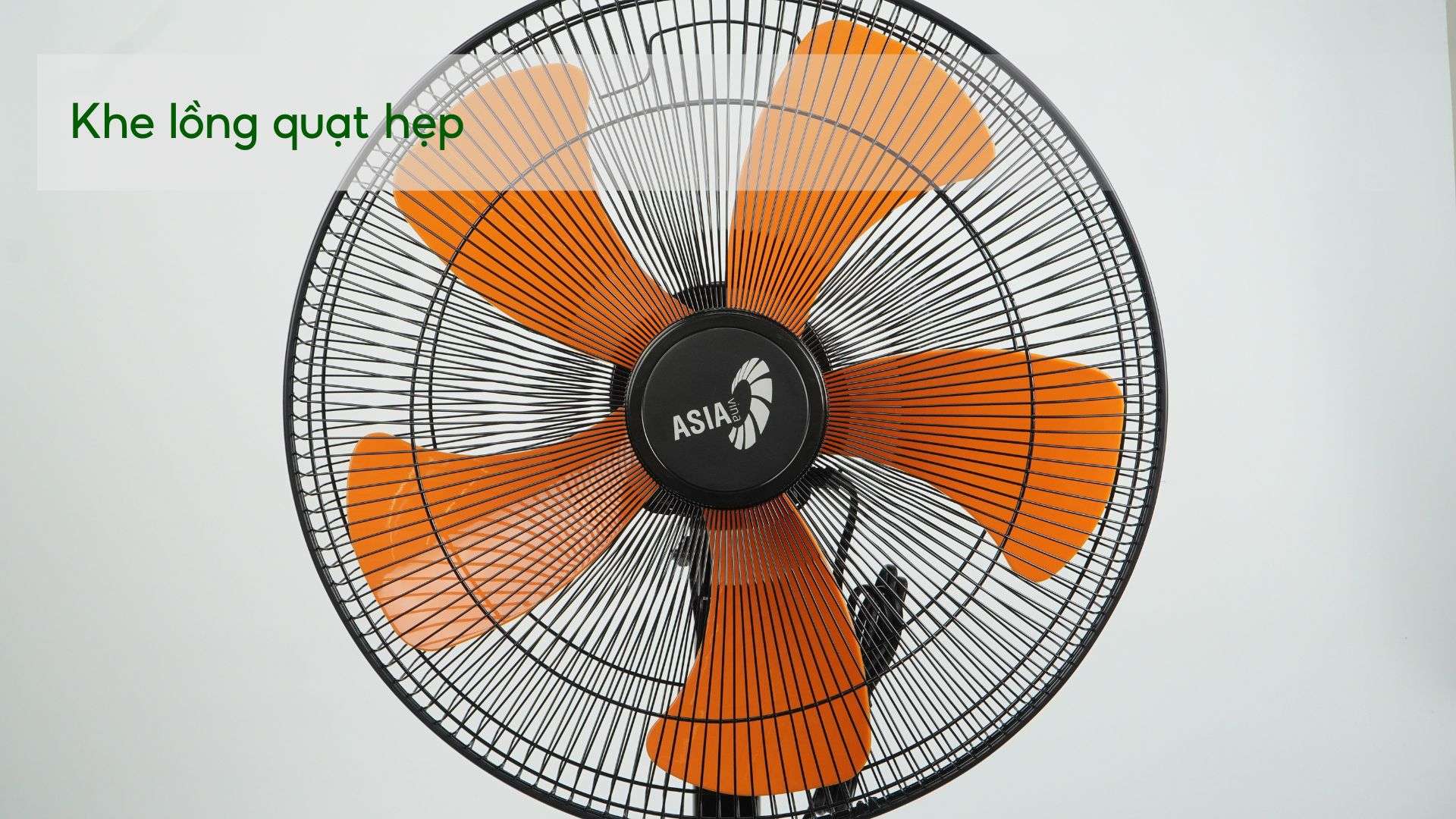 Quạt Đứng BCN ASIA VINA – VY589890 - Ảnh 5