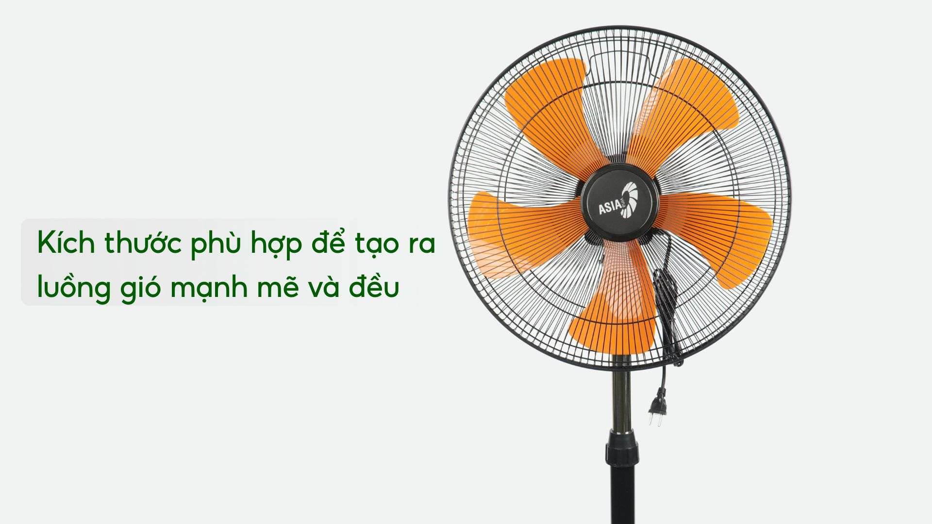 Quạt Đứng BCN ASIA VINA – VY589890 - Ảnh 4
