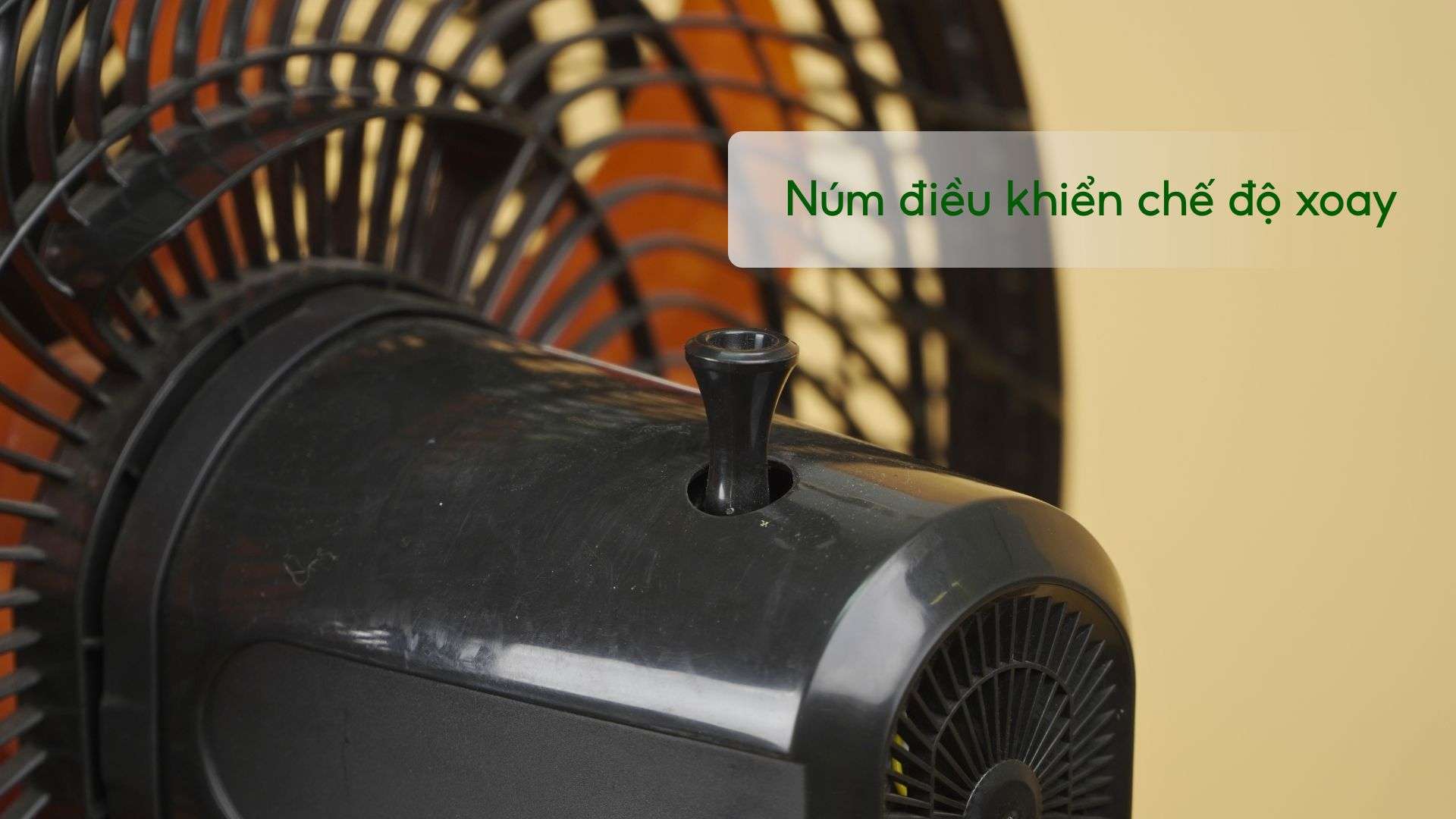 Quạt Đứng ASIA VINA Turbo X - VY629890 - Ảnh 5