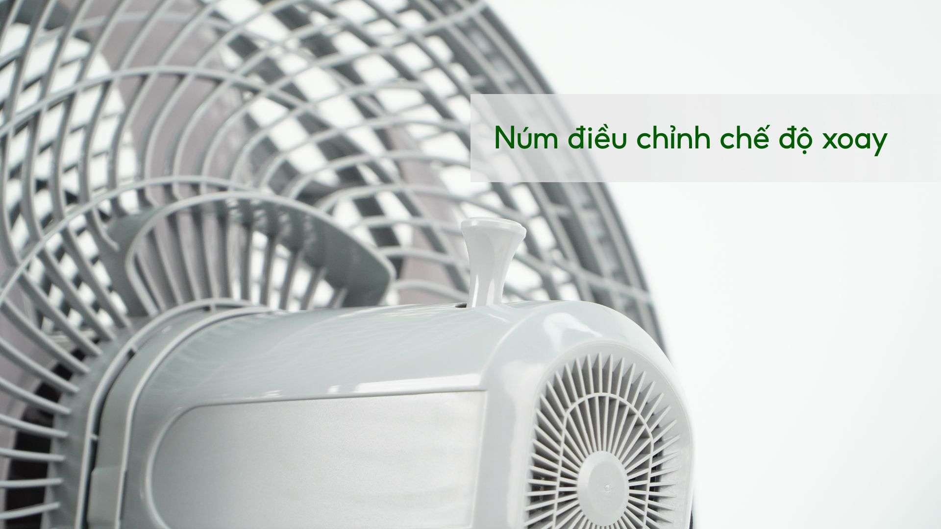 Quạt Sàn ASIA VINA Turbo Plus – VY636792 - Ảnh 5