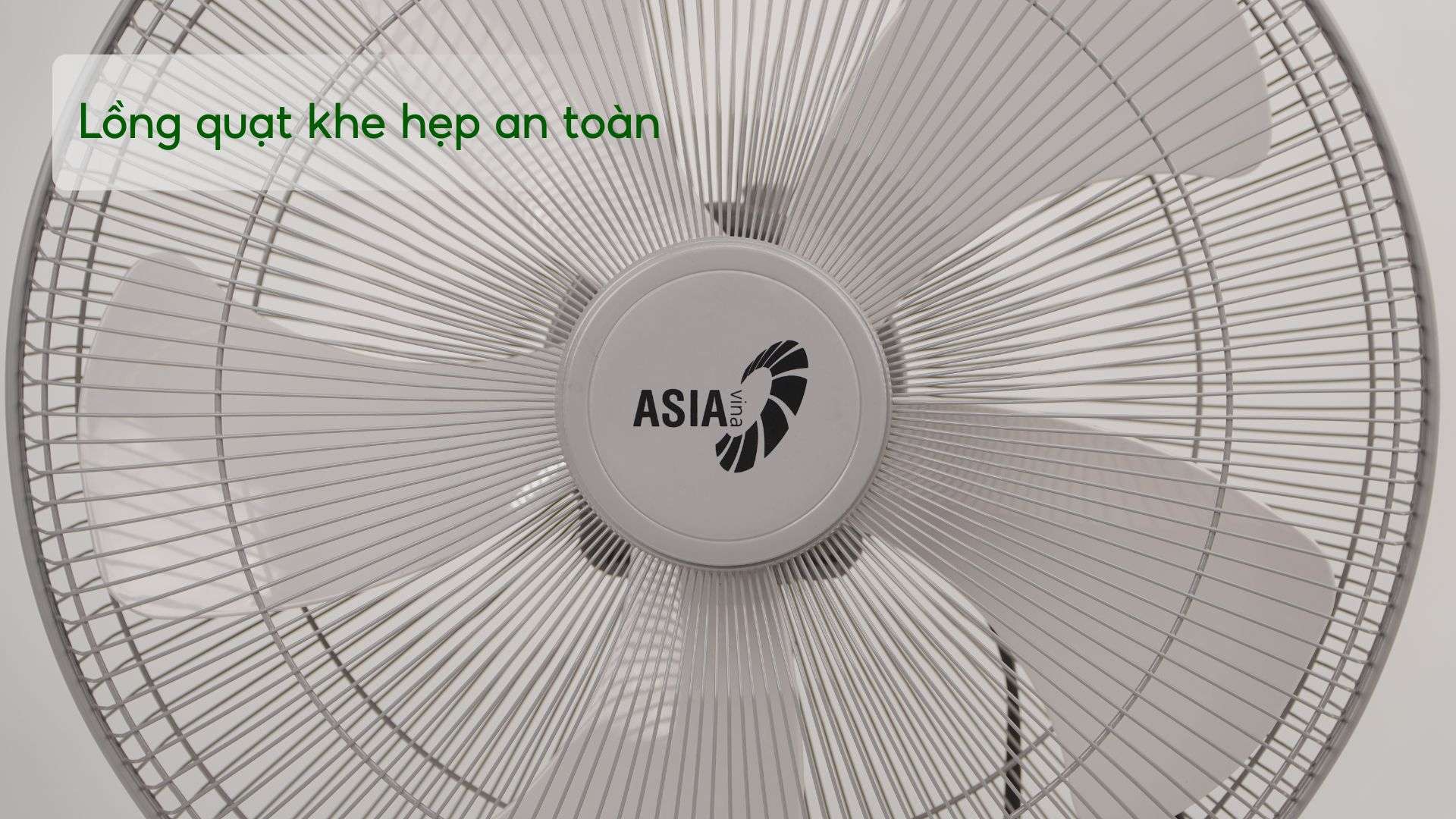 Quạt Sàn BCN ASIA VINA - VY586790 - Ảnh 2