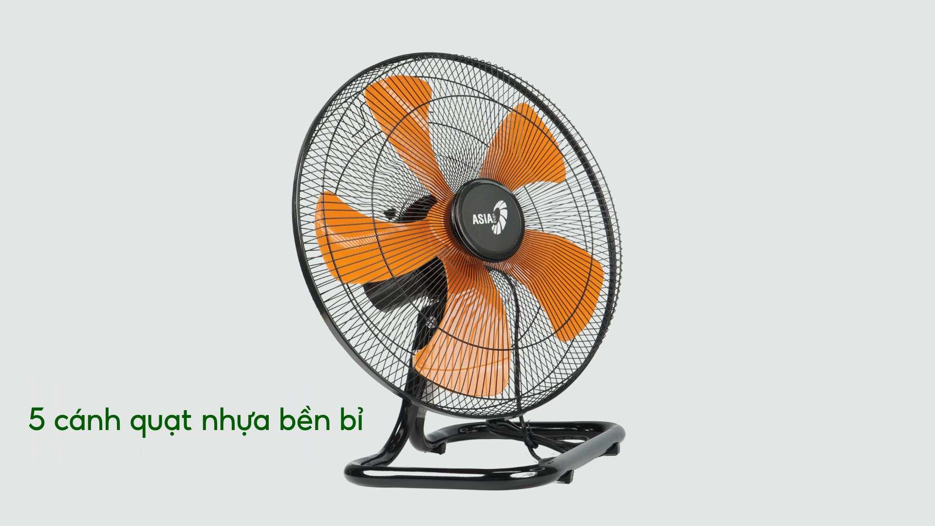 Quạt Sàn BCN ASIA VINA - VY586890 - Ảnh 3