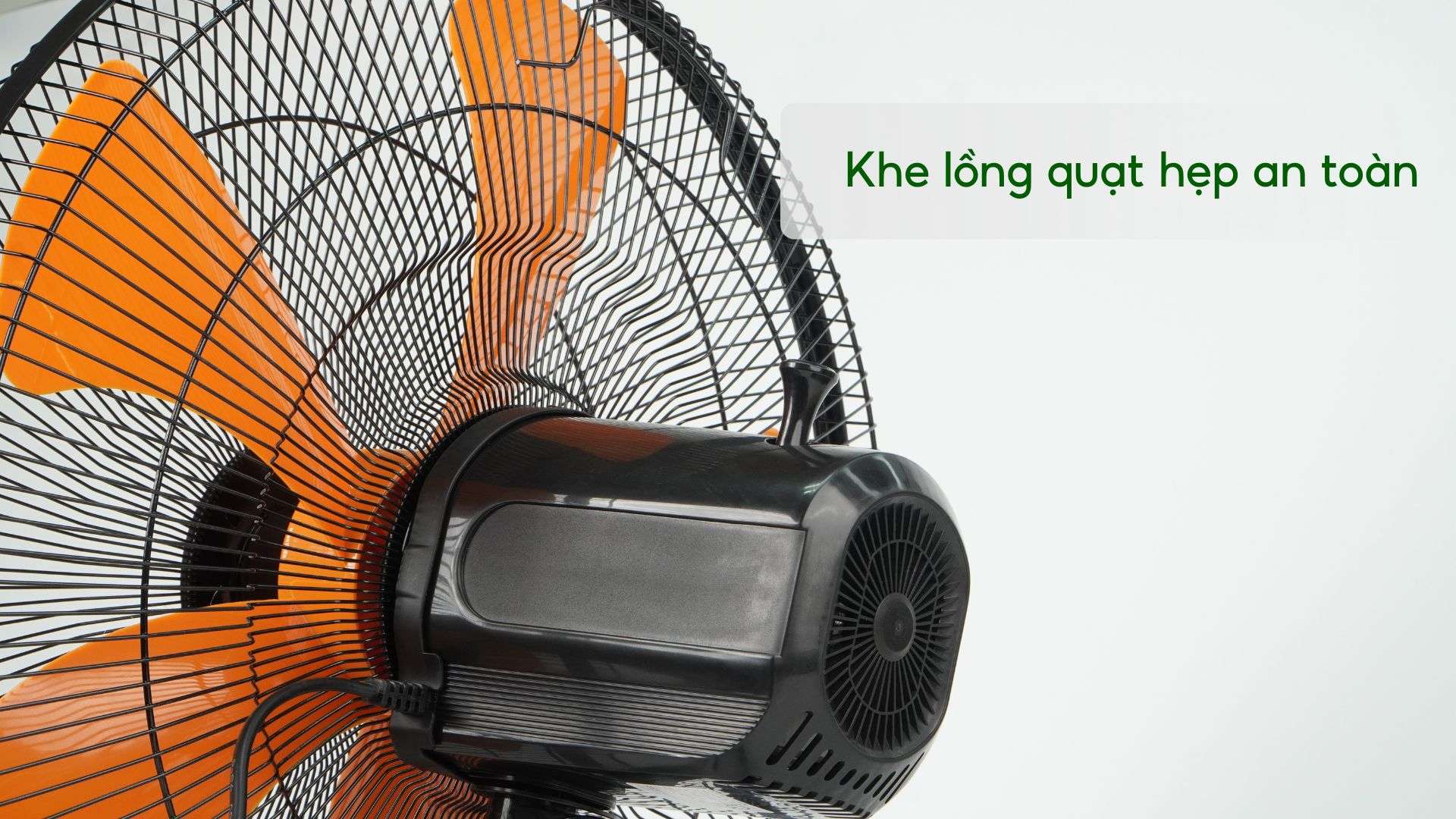 Quạt Sàn BCN ASIA VINA - VY586890 - Ảnh 5