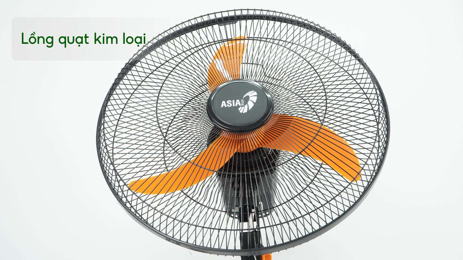 Quạt Treo BCN ASIA VINA VY557990 - 55W - Ảnh 6
