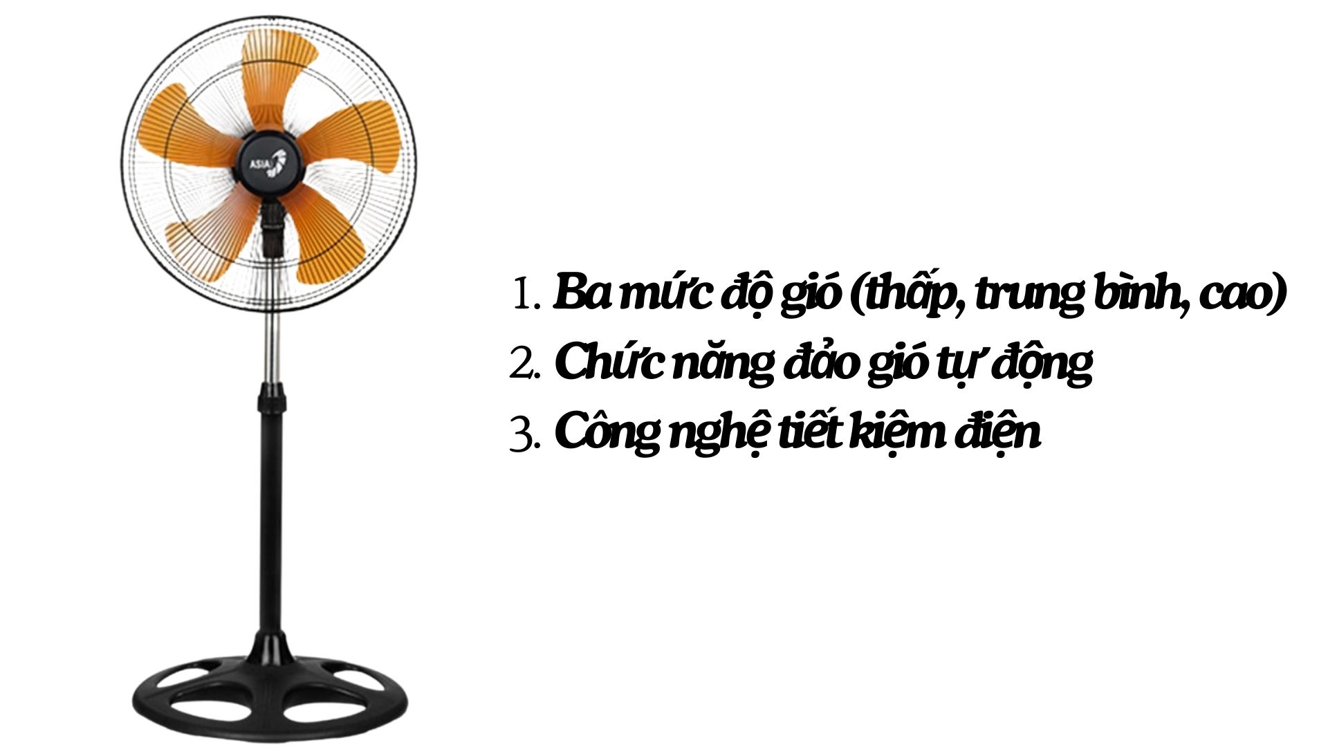 Quạt Đứng BCN ASIA VINA – VY589890 - Ảnh 2