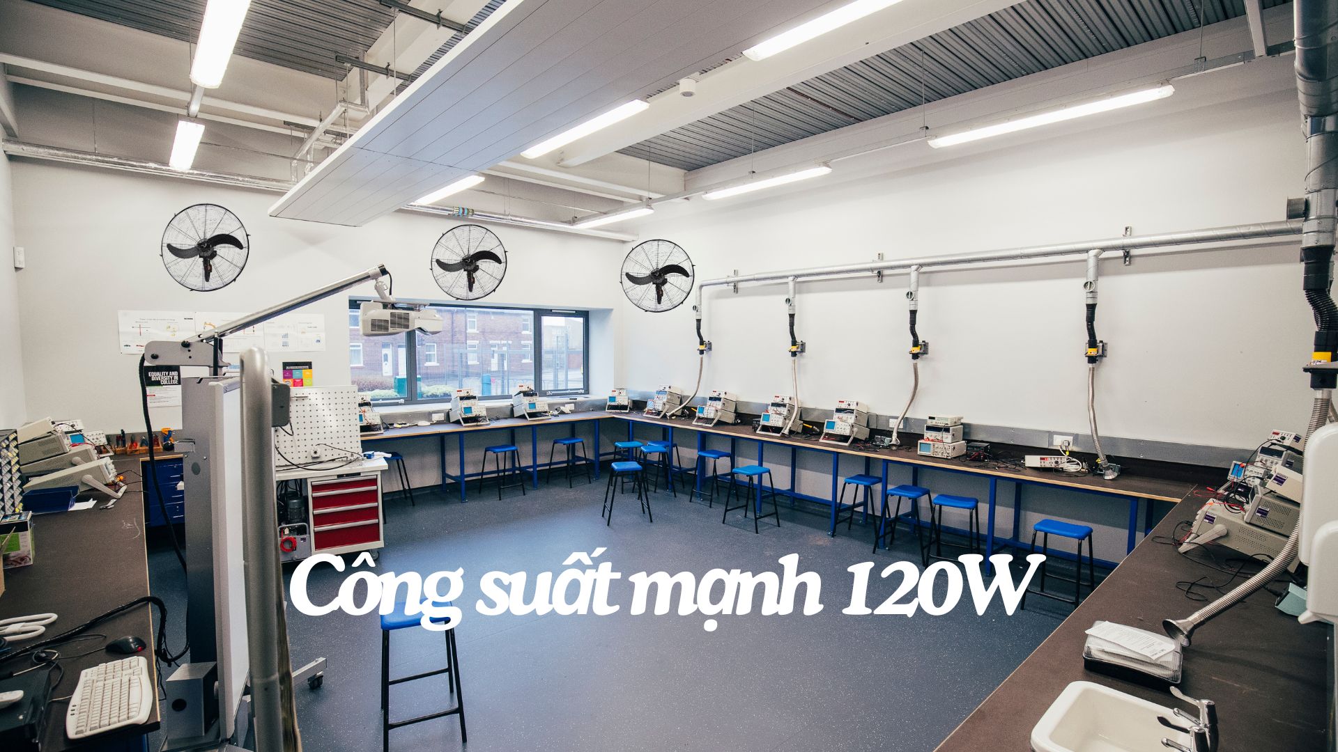 Quạt Treo CN ASIA VINA - L24001-DV0 - Ảnh 8