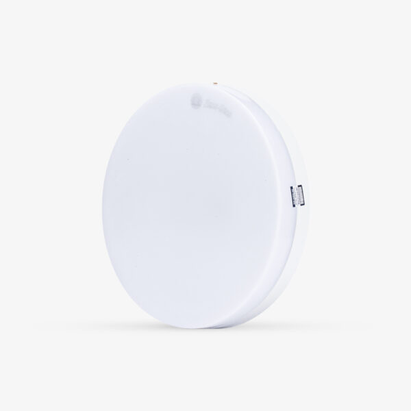 Đèn LED ốp trần tròn LN12 Tròn